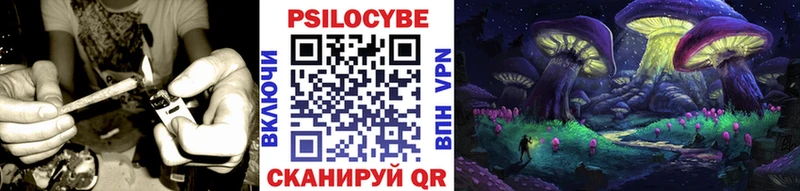 Галлюциногенные грибы GOLDEN TEACHER сайты даркнета официальный сайт Хадыженск купить наркоту
